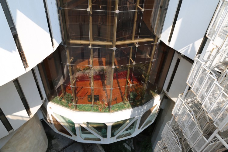 robinmonottidruzhba3