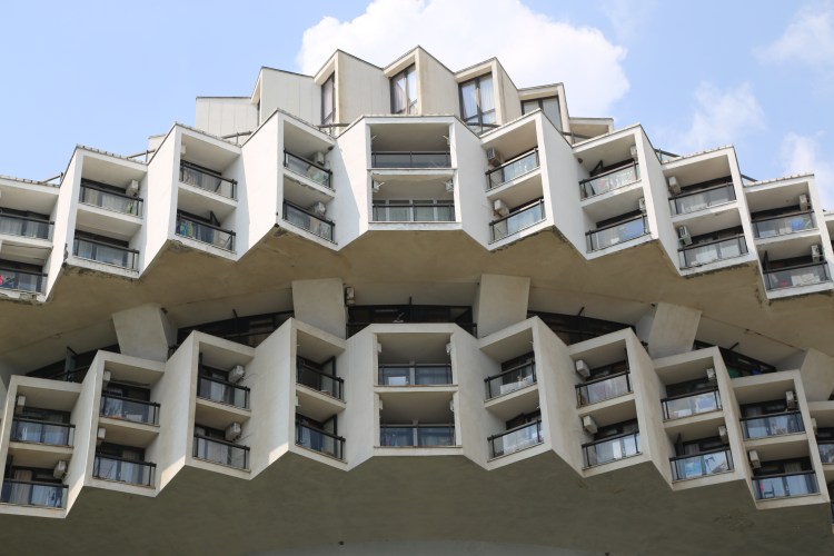 robinmonottidruzhba6