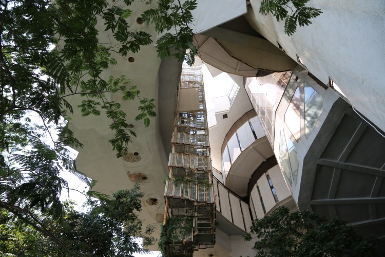 robinmonottidruzhba7-2