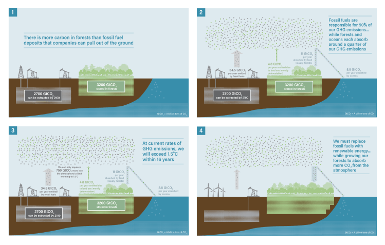 Carbon-infographic-series-v8