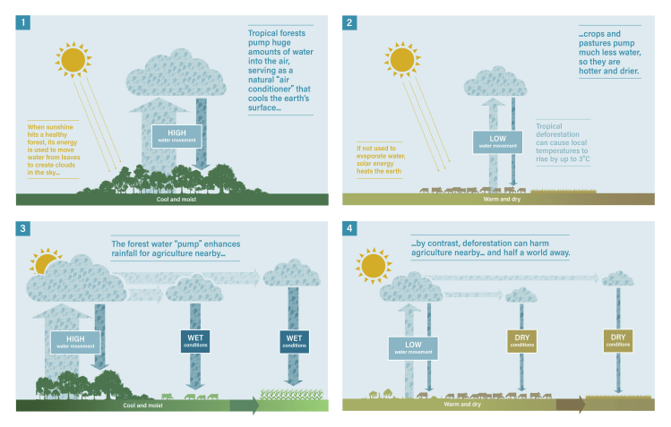 Evapotranspiration-series-v3 (1)